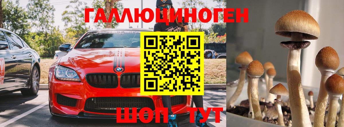 Галлюциногенные грибы ЛСД  цена   Ейск  Вход с VPN 