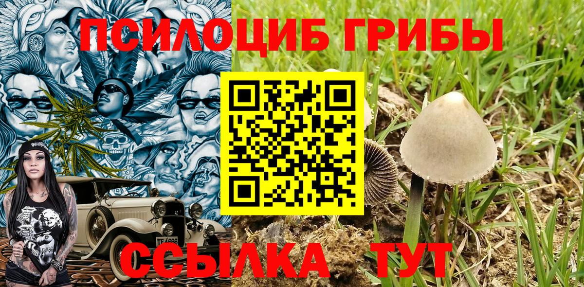 Галлюциногенные грибы Psilocybine cubensis Ейск